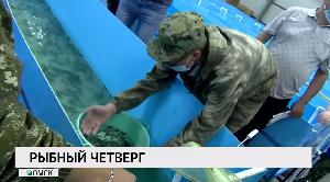 Рыбный четверг Рыбный четверг