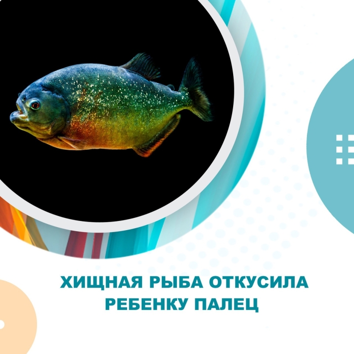 Хищная рыба откусила ребенку палец