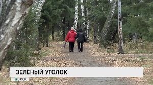 Зеленый уголок