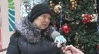К новому году хвойные сильно не подорожают