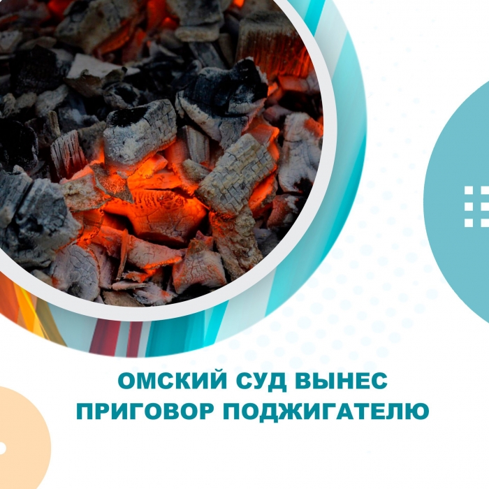 Омский суд вынес приговор поджигателю