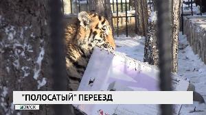 "Полосатый" переезд