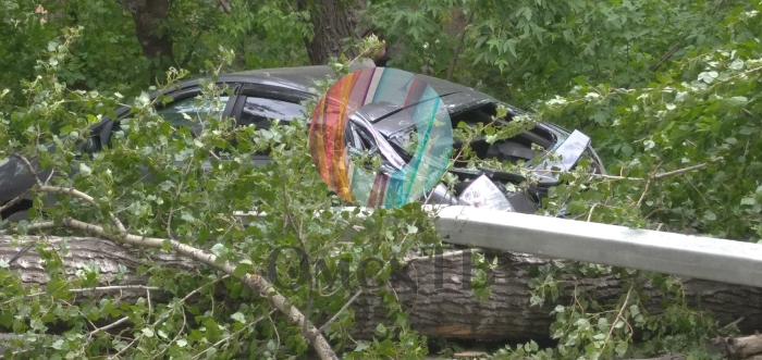 Омская погода продолжает «удивлять»…