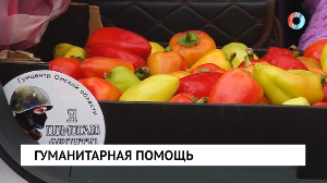 Гуманитарная помощь