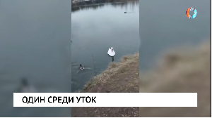 Новости от 20.10.2025