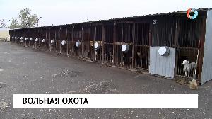 Новости от 20.10.2023