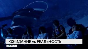 Ожидание VS реальность