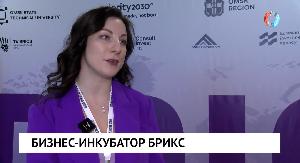 Бизнес-инкубатор БРИКС