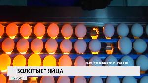 Новости «РБК-Омск» от 31.08.2020