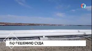 Новости от 08.04.2025