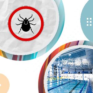 Новости от 11.04.2023