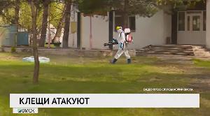 Новости «РБК-Омск» от 27.04.2020