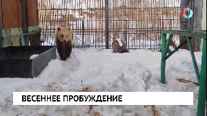 Новости от 18.03.2025