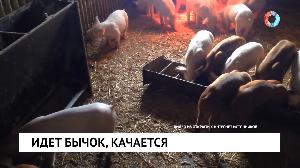 Новости от 13.05.2022