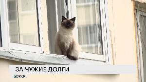 За чужие долги