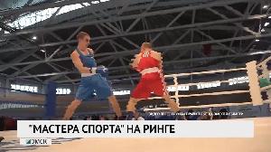 "Мастера спорта" на ринге