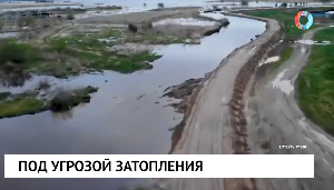 Новости от 12.05.2025