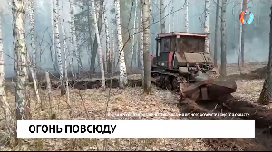 Новости от 11.05.2023