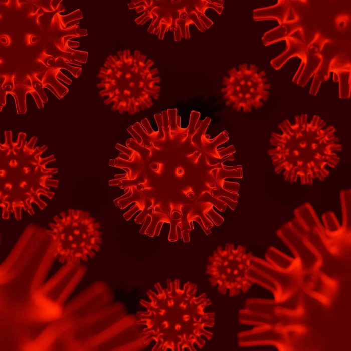 Карантин из-за вспышки бешенства ввели в трех районах Омской области