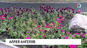 Аллея Ангелов