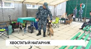 Новости от 28.08.2023