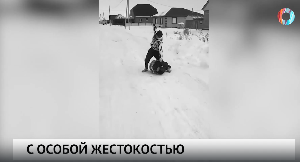 Новости от 04.03.2025