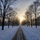 Погодные качели в Омске: от экстремальных -35° до весенней оттепели за два дня