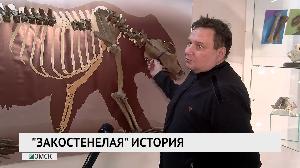 "Закостенелая" история "Закостенелая" история