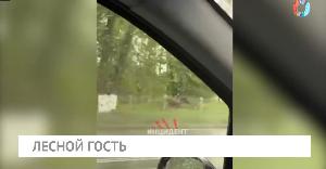 Новости от 21.05.2026