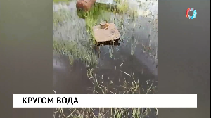 Новости от 05.09.2025