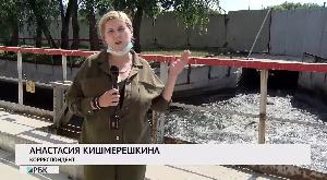 «В чёрном, чёрном городе…»