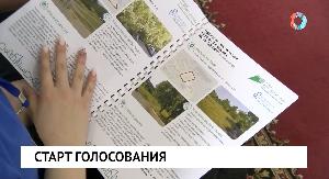 Старт голосования