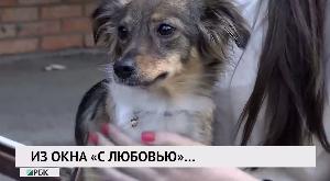 Из окна "с любовью"...