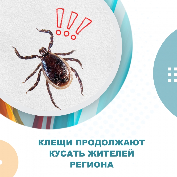 В Омской области жертвами клещей стали уже больше тысячи человек