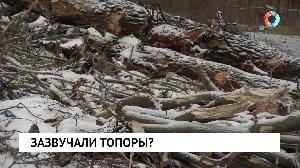 Новости от 07.11.2022