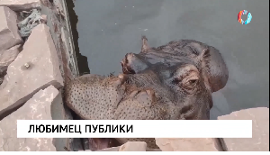 Новости от 20.08.2025