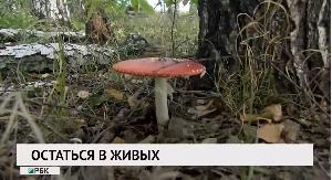 Остаться в живых