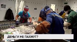 Деньги не пахнут?