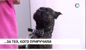 Новости от 05.08.2025