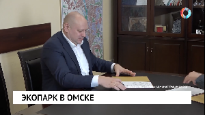 В едином экостиле