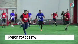 Кубок горсовета