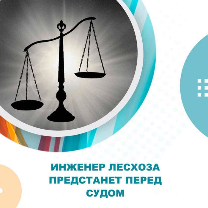 Инженер лесхоза предстанет перед судом