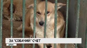 Новости "РБК-Омск" от 19.12.2019