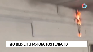 Новости от 06.02.2025