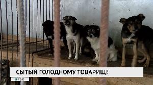 Сытый голодному товарищ!