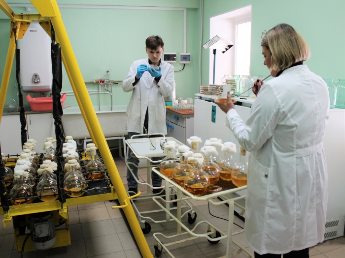 Механизм действия биофунгицидов: как микроорганизмы защищают сельскохозяйственные культуры 