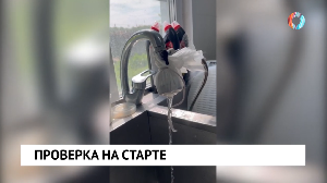 Новости от 28.06.2024