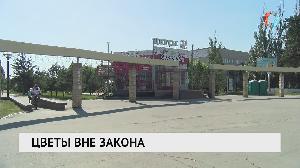 Цветы вне закона