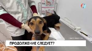 Продолжение следует?