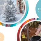 Немного полезной информации во время утреннего кофе